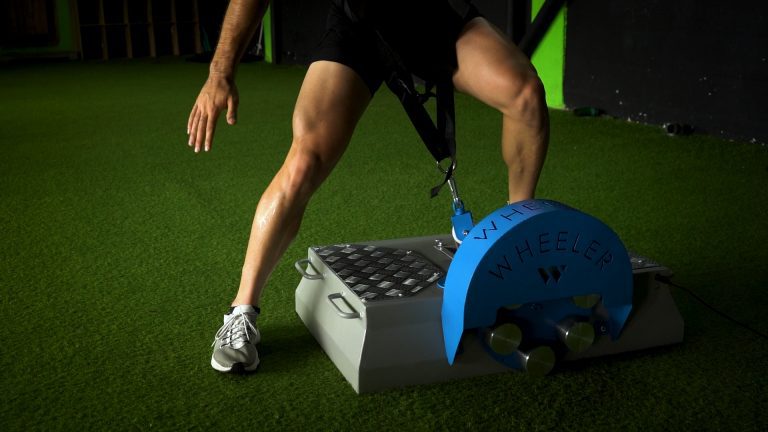 YOYO WHEELER.00_00_39_11.Imagen fija009