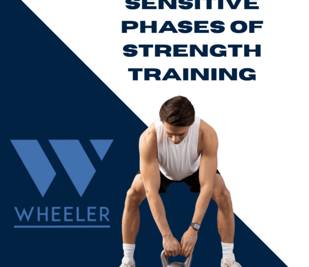 Sensitive Phases of Strength Training