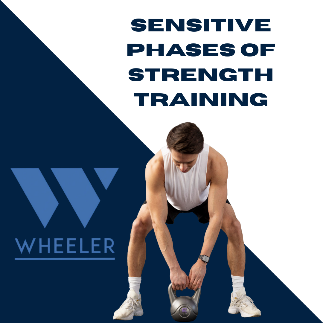 Sensitive Phases of Strength Training