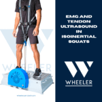 EMG and Tendon Ultrasound in Isoinertial Squats