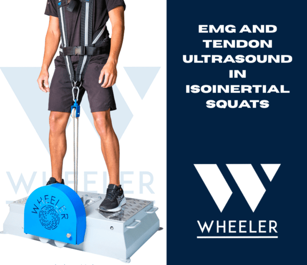 EMG and Tendon Ultrasound in Isoinertial Squats