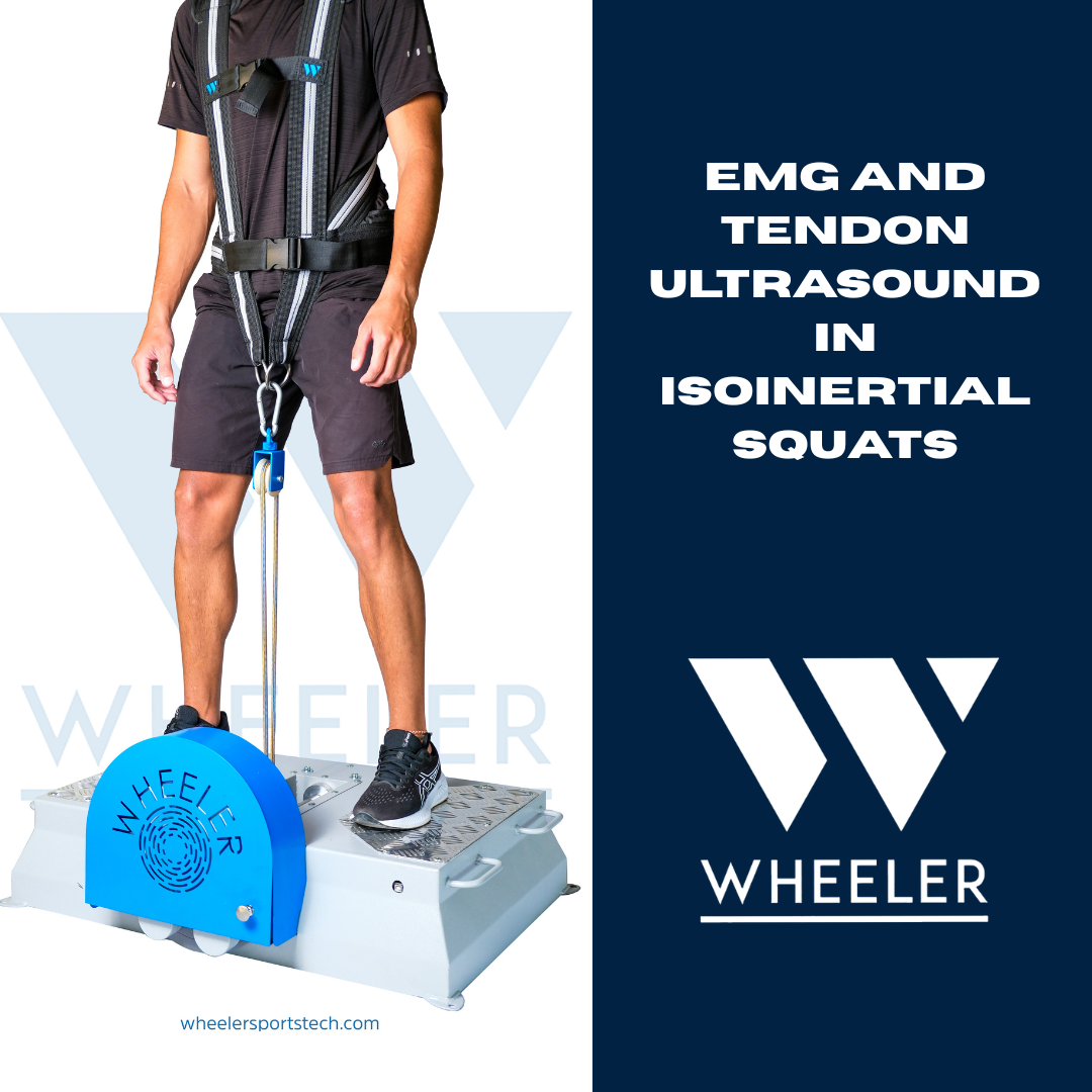 EMG and Tendon Ultrasound in Isoinertial Squats