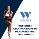 Tendon Adaptation to Plyometric Training