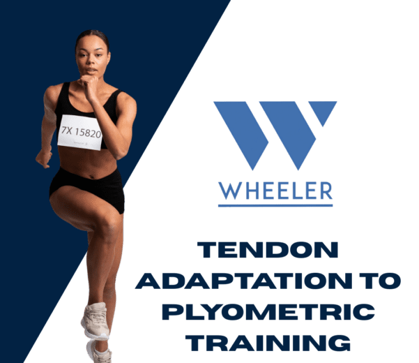 Tendon Adaptation to Plyometric Training