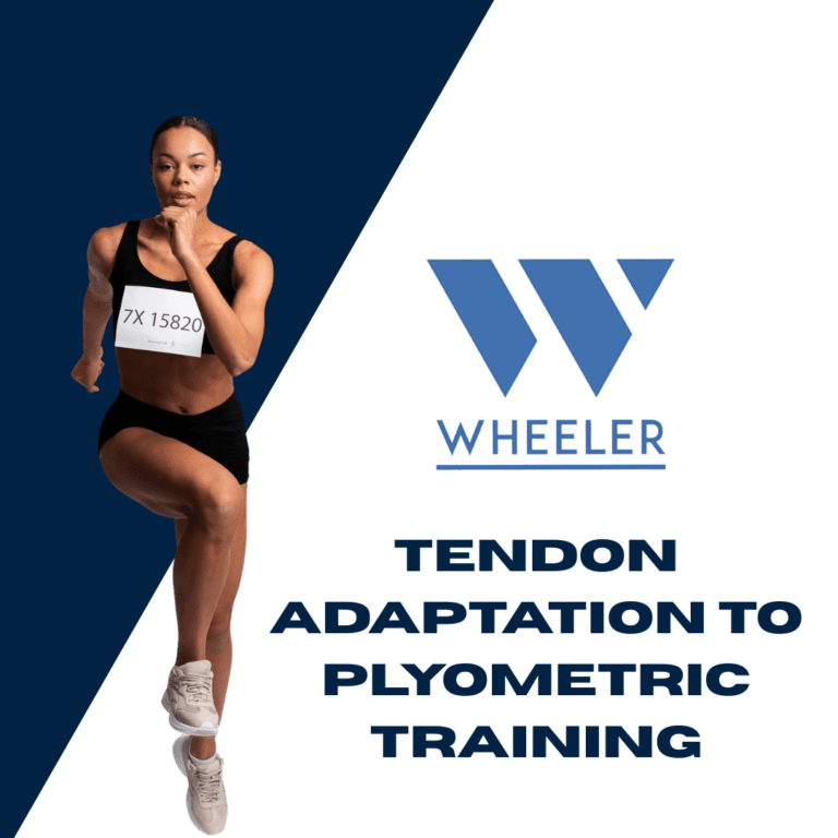 Tendon Adaptation to Plyometric Training